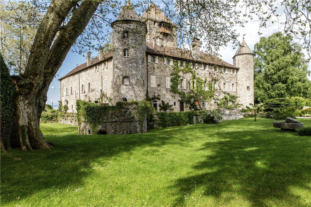 Chateau De Coudree - Les Collectionneurs シエ エクステリア 写真