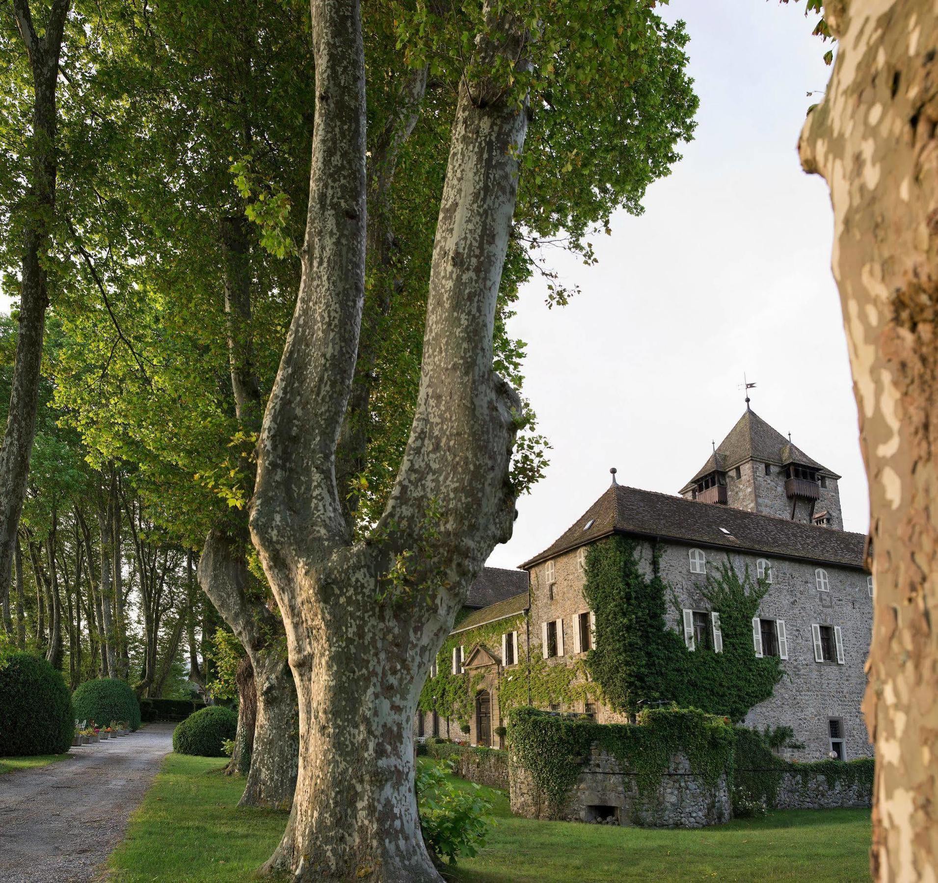 Chateau De Coudree - Les Collectionneurs シエ エクステリア 写真